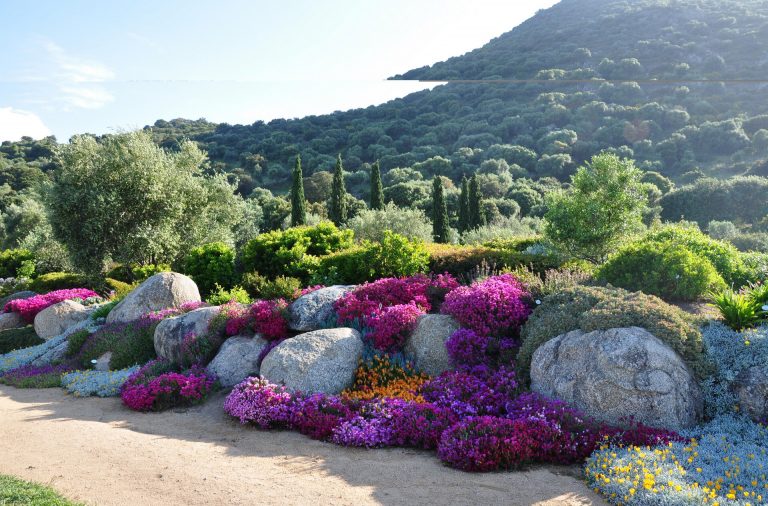 Visiter le Parc de Saleccia à L’Île-Rousse